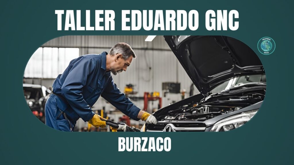 141 Taller Eduardo GNC en Burzaco