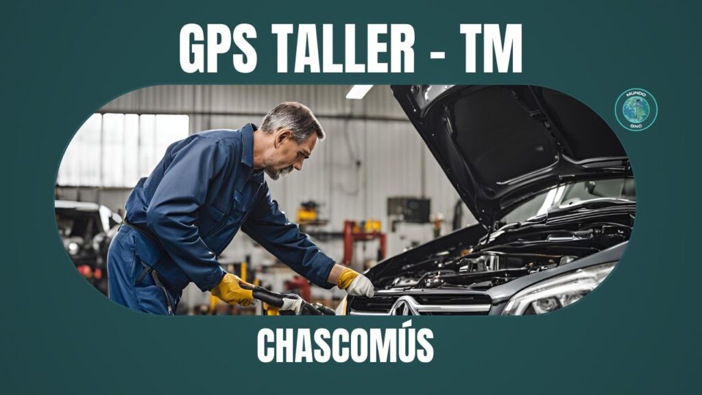 155 GPS Taller - TM Servicio Integral del Automotor en Chascomús