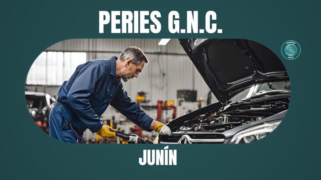 225 Peries G.N.C. en Junín