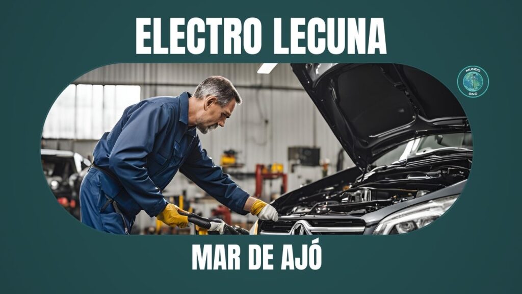 274 ELECTRO LECUNA en Mar de Ajó