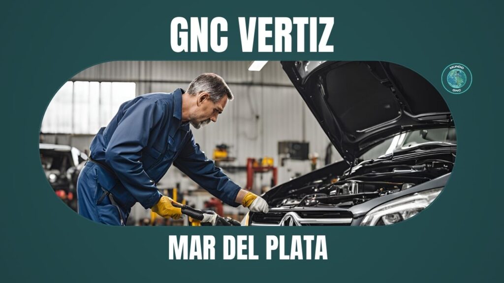 301 GNC vertiz en Mar del Plata